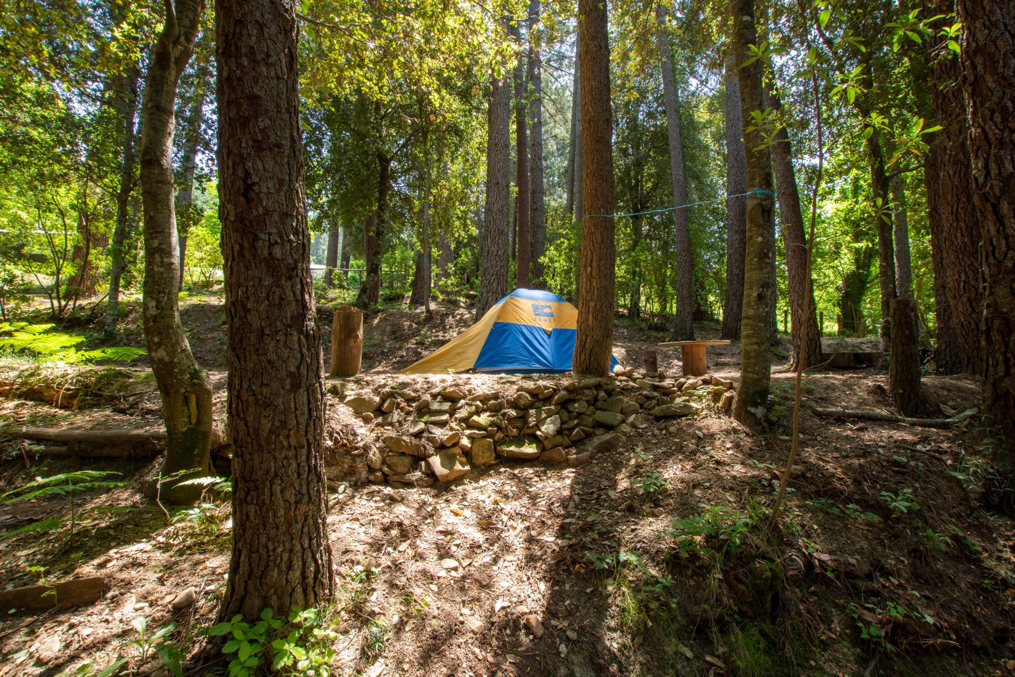 Espace plat et herbeux pour installation de tentes, proche de la rivière au Camping Bavella Vista
