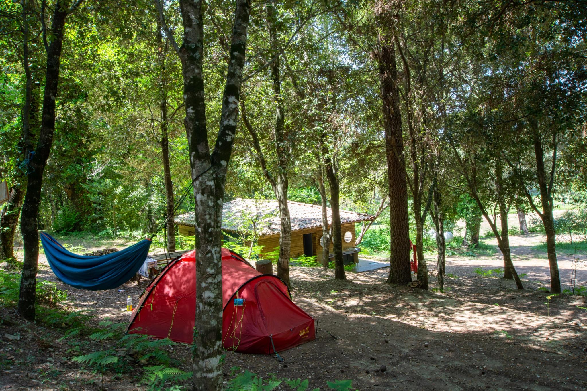 Zone dédiée aux tentes, offrant intimité et ombrage naturel au Camping Bavella Vista en Corse-du-Sud