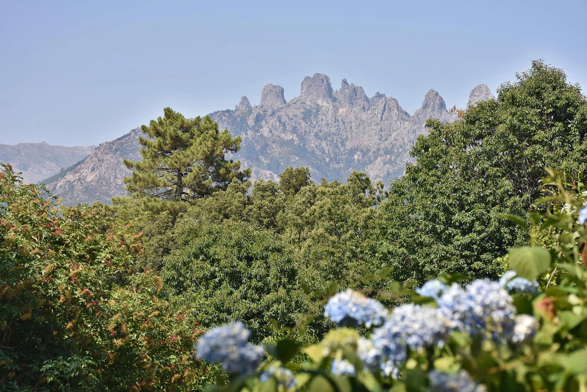 Camping avec accueil libre à Bavella